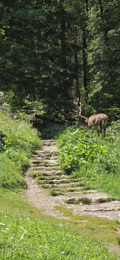 Uczestnicy Tatry Po Męsku w Tatrach, zdjęcie 10